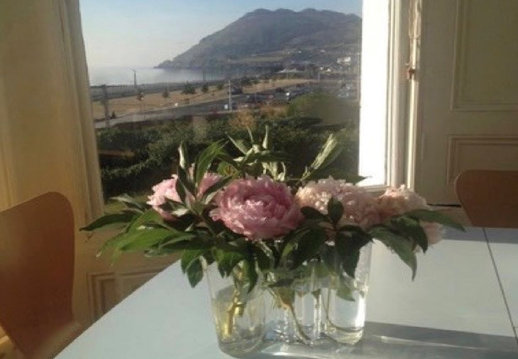 Bray Head with Peonies